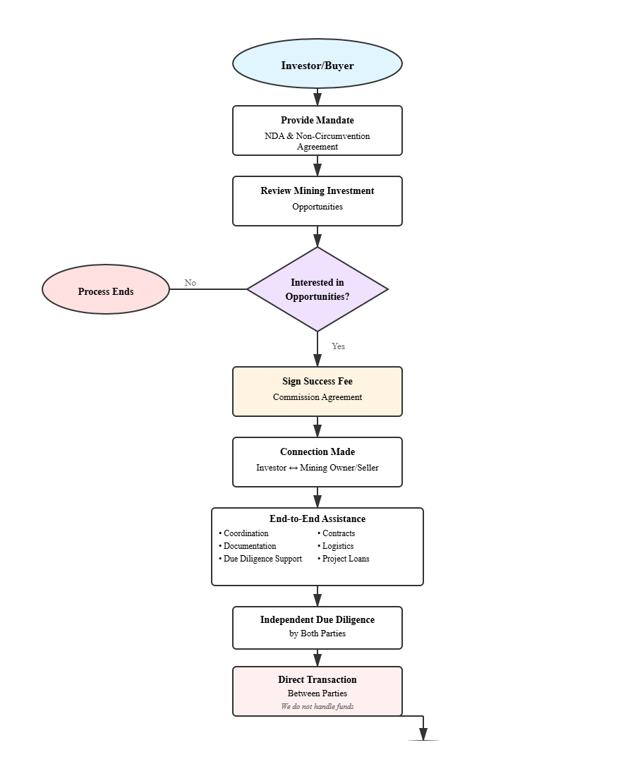Mining Investment Flowchart